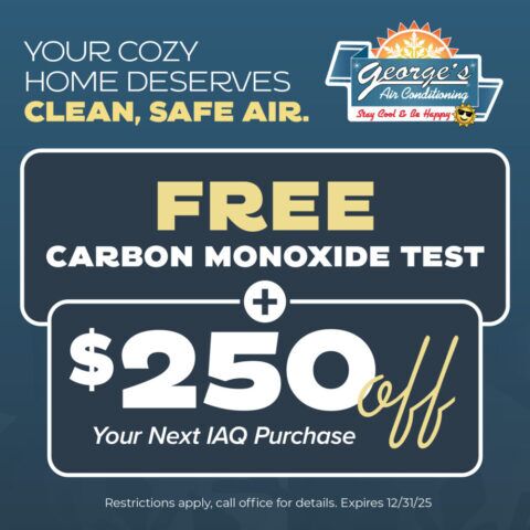 free-carbon-monoxide-test